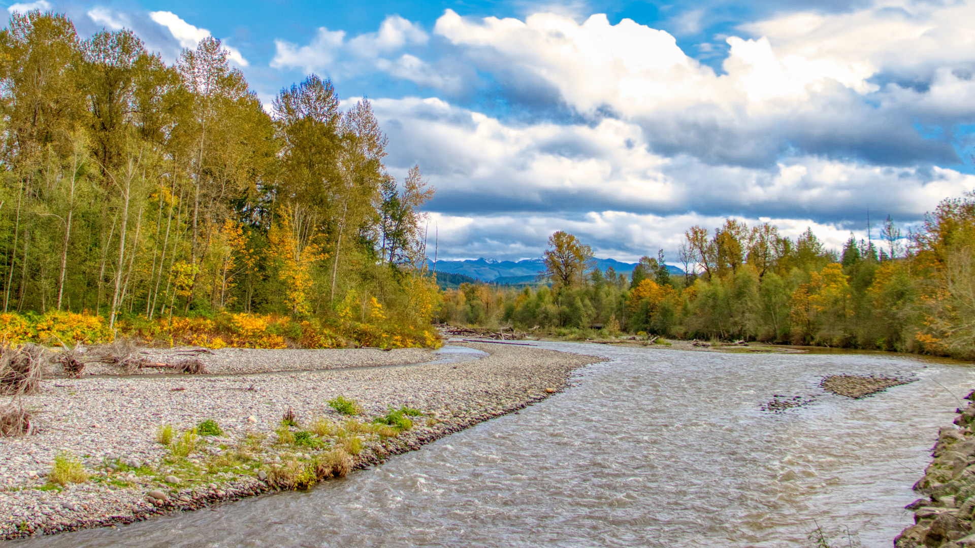 Carbon River